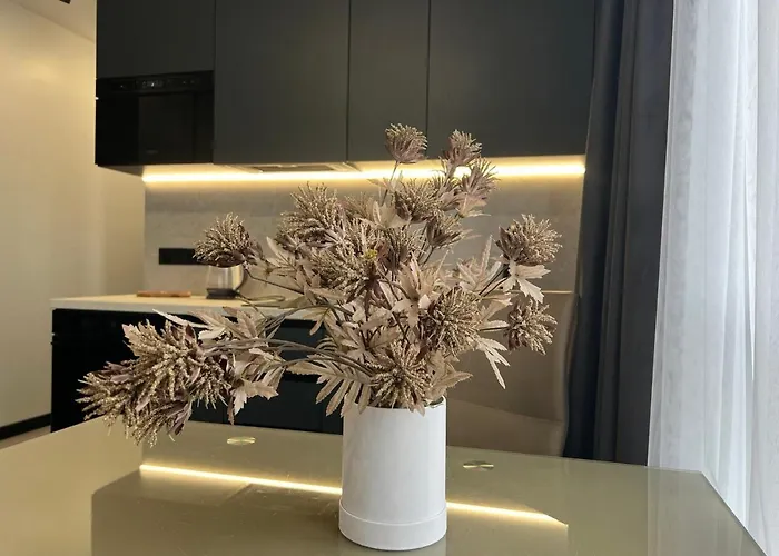 Apartment Vip Parus Smart